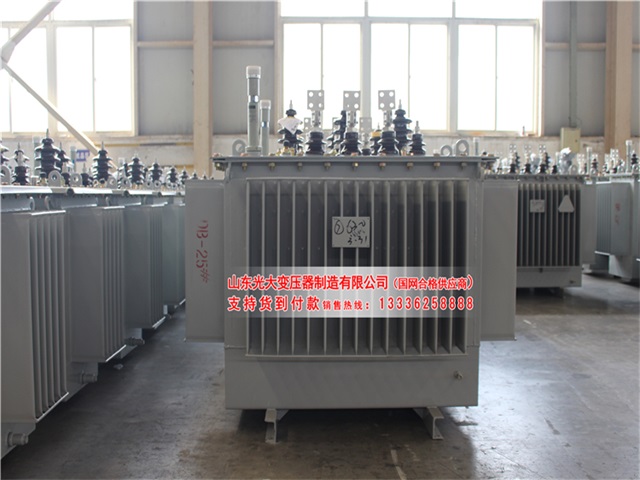泰安S22-4000KVA油浸式变压器